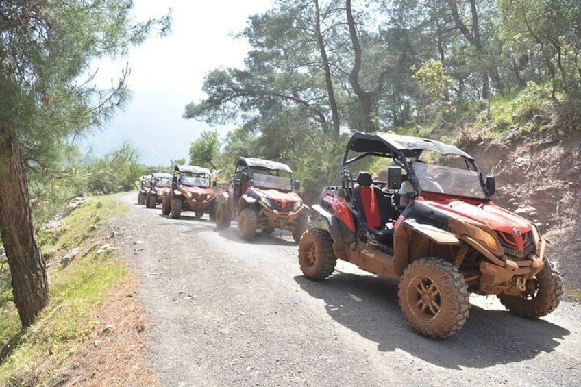 Buggy Off-Road Safari