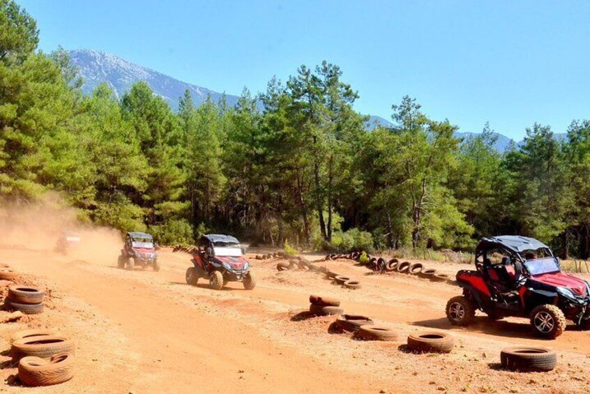 Buggy Off-Road Safari