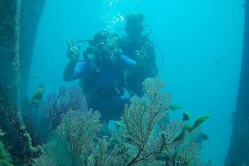 Scuba Diving For Beginners Or Non Swimmers