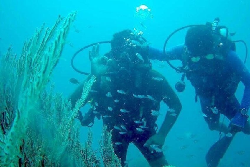 Scuba Diving For Beginners Or Non Swimmers