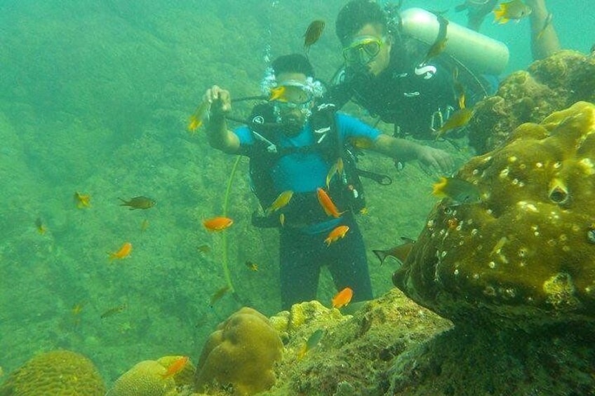 Scuba Diving For Beginners Or Non Swimmers