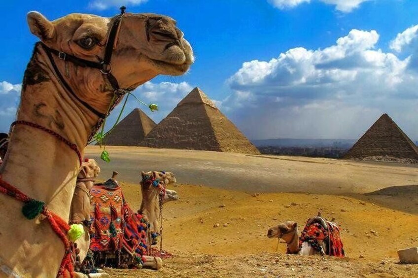 Panoramic view of the pyramids of Giza!