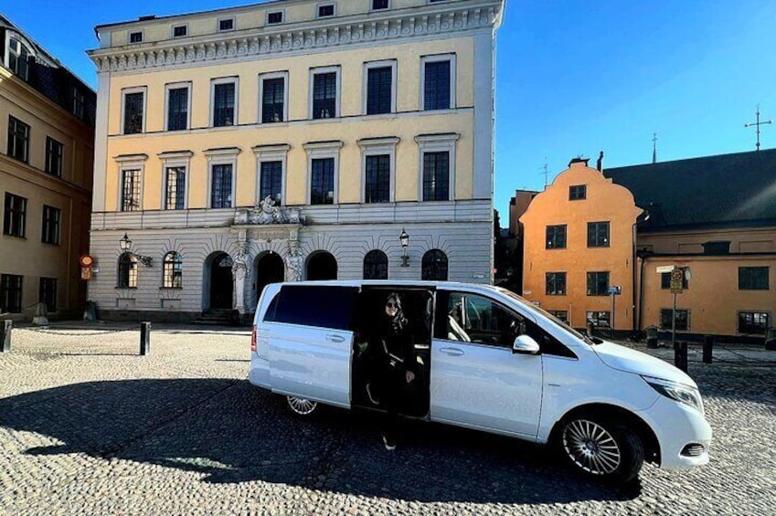 Private Stockholm City Tour by VIP car Vasa and Skansen museum