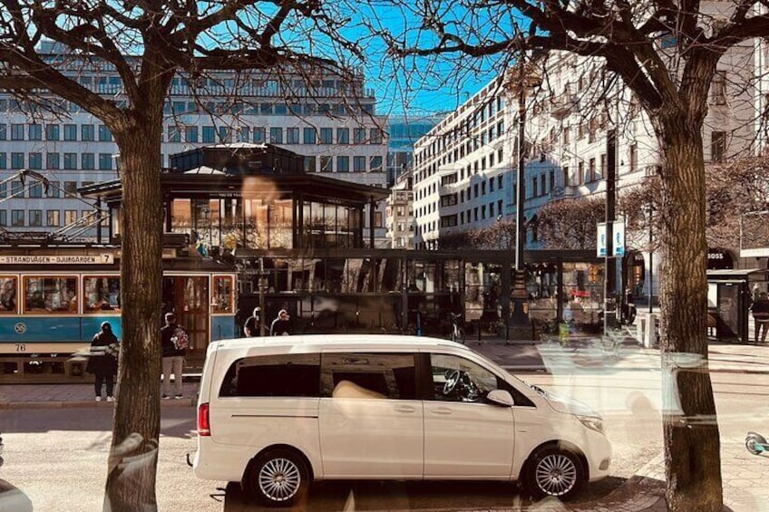 Private Stockholm City Tour by VIP car Vasa and Skansen museum