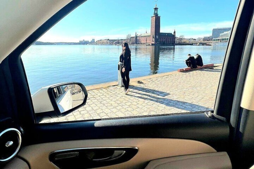 Private Stockholm City Tour by VIP car Vasa and Skansen museum