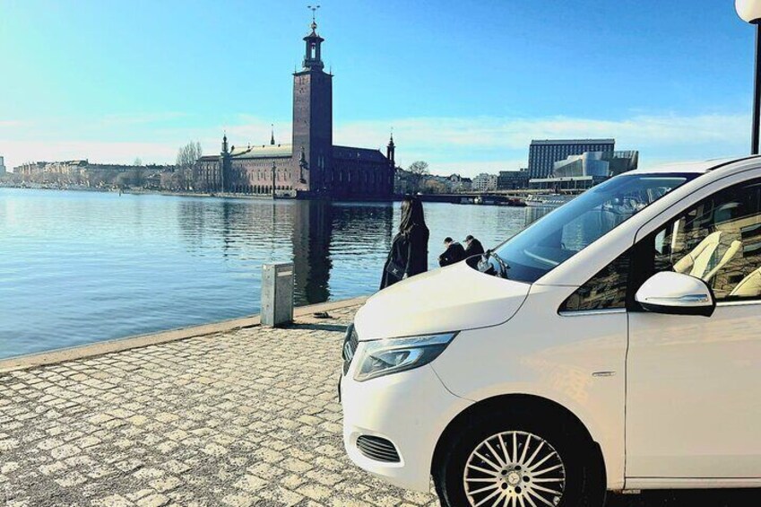 Private Stockholm City Tour by VIP car Vasa and Skansen museum