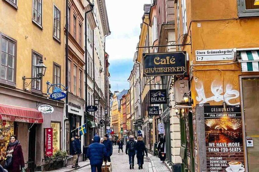 Private Stockholm City Tour by VIP car Vasa and Skansen museum