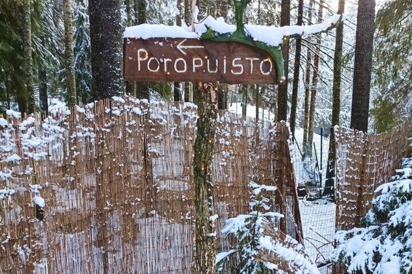 Helsinki private tour to National park and Reindeer farm by car