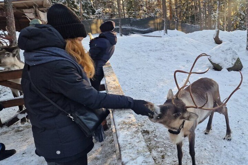 PRIVATE Adventure To The REINDEER Park by VIP Car