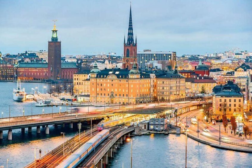 Stockholm Private guide City tour with Vasa museum by VIP car