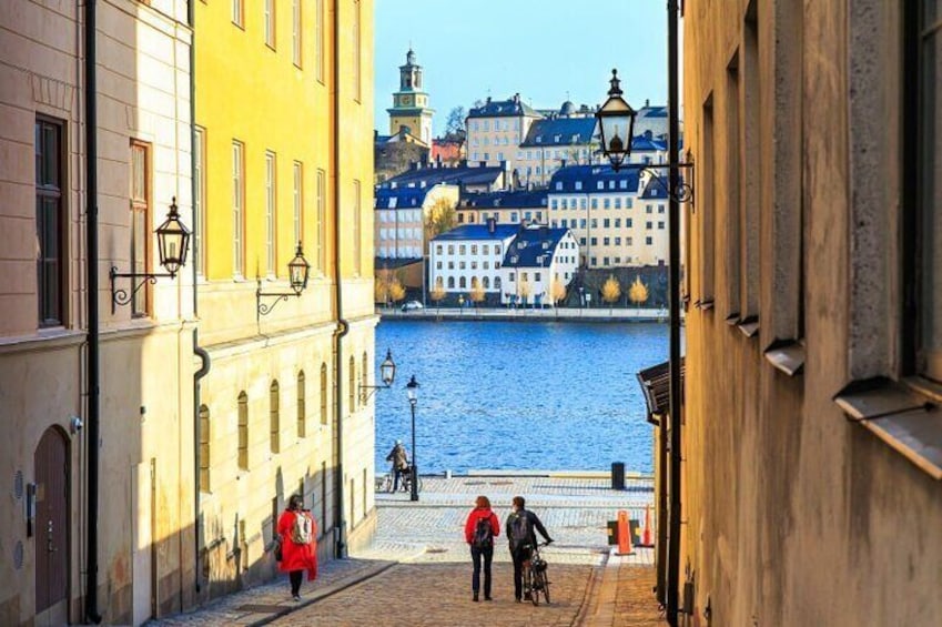 Stockholm City Tour and Vaasa museum by private car with guide