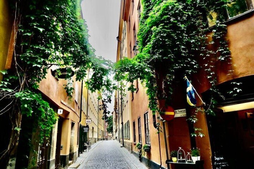 Stockholm PRIVATE GUIDED City Tour + Drottningholm Palace by VIP car