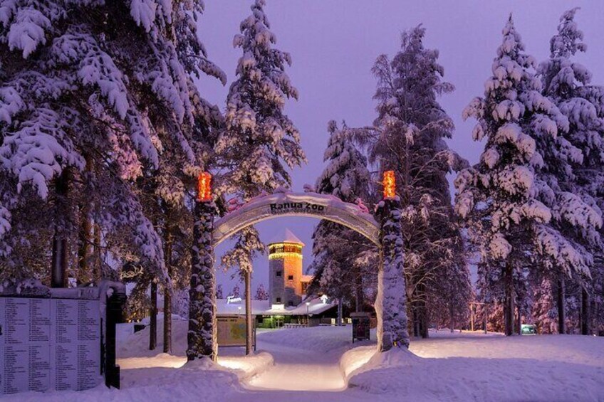 PRIVATE Ranua Zoo Tour from Rovaniemi by VIP Car
