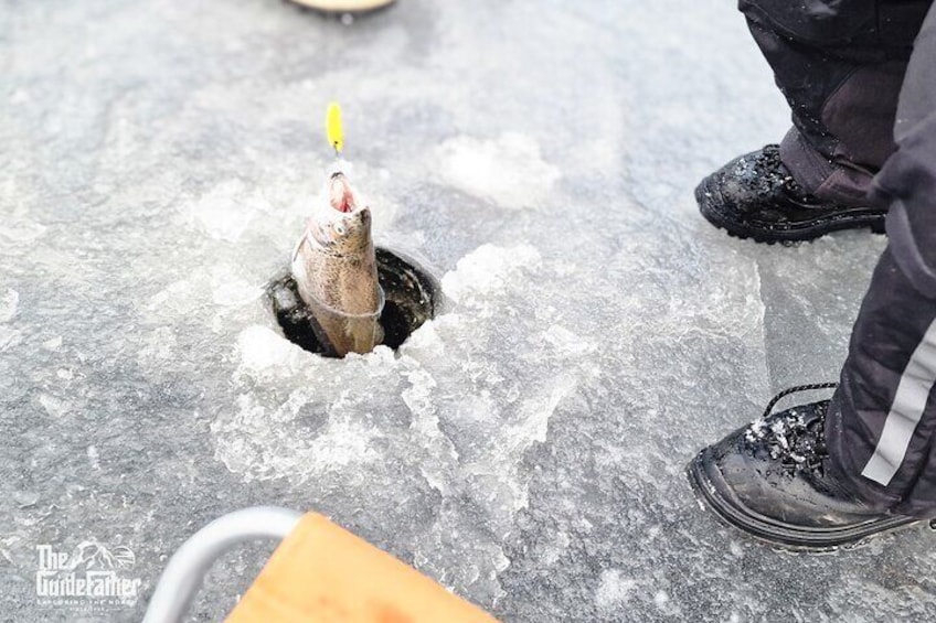 VIP Ice Fishing "ICEBREAKER" Lunch in Glass Igloo