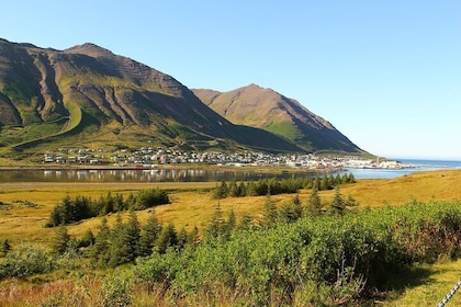 Siglufjörður, the Four-Tunnel Private Day Tour