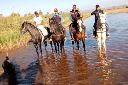 Ride the cast of famous Hollywood films on set in their natural environment...