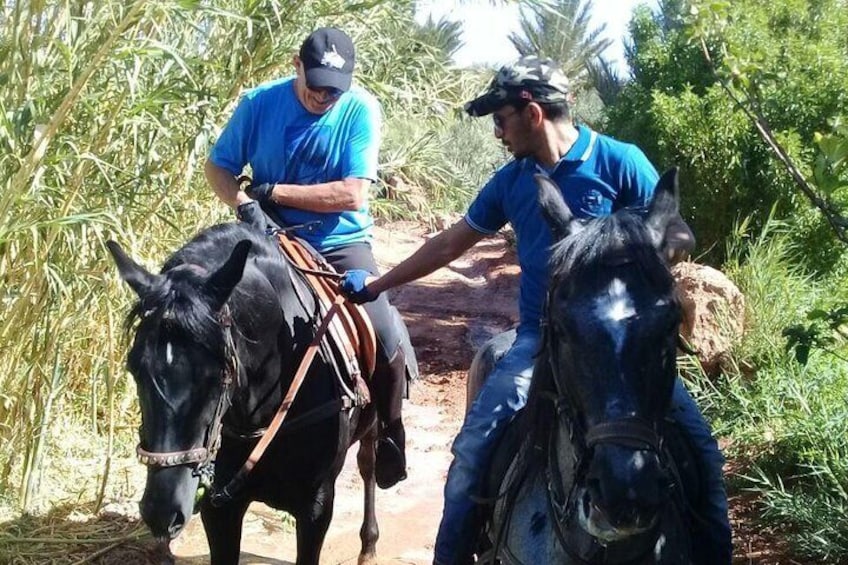 Ride the cast of famous Hollywood movies on set in their natural environment!