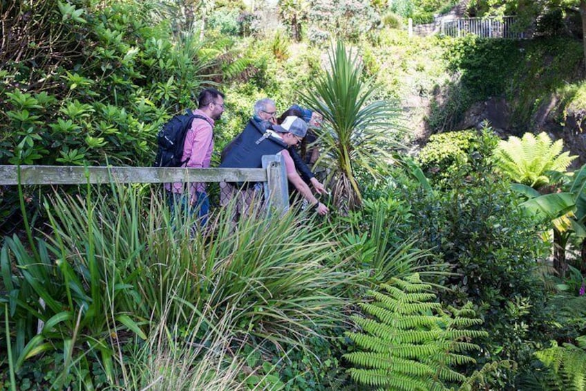 Discover Falmouth's unique mindboggling history!