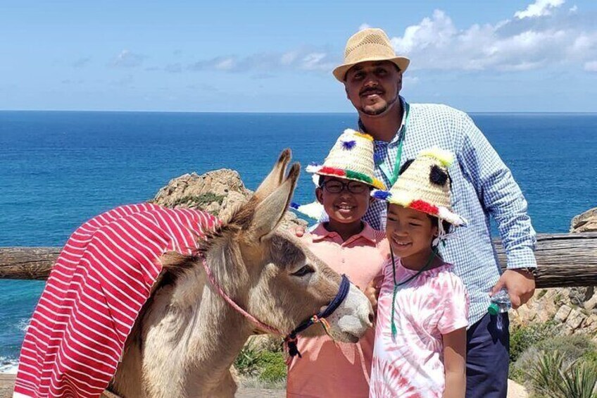 Tangier Sightseeing and Walking Tour with optional Camel ride