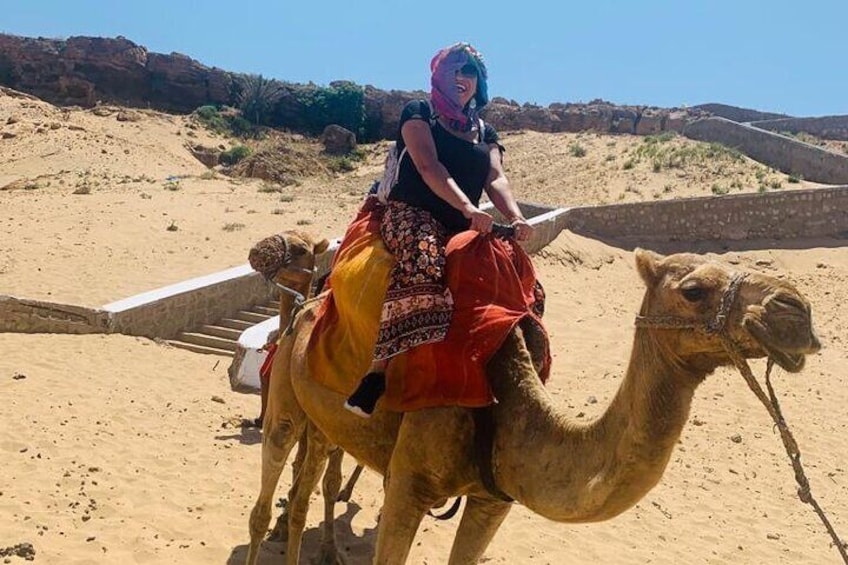 Tangier Sightseeing and Walking Tour with optional Camel ride