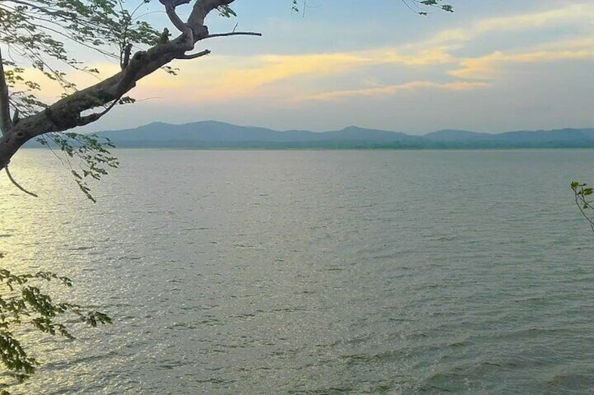 Minneriya Lake 