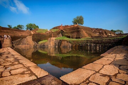 Sigiriya Fortress and Wildlife Safari, Budget tour from Colombo