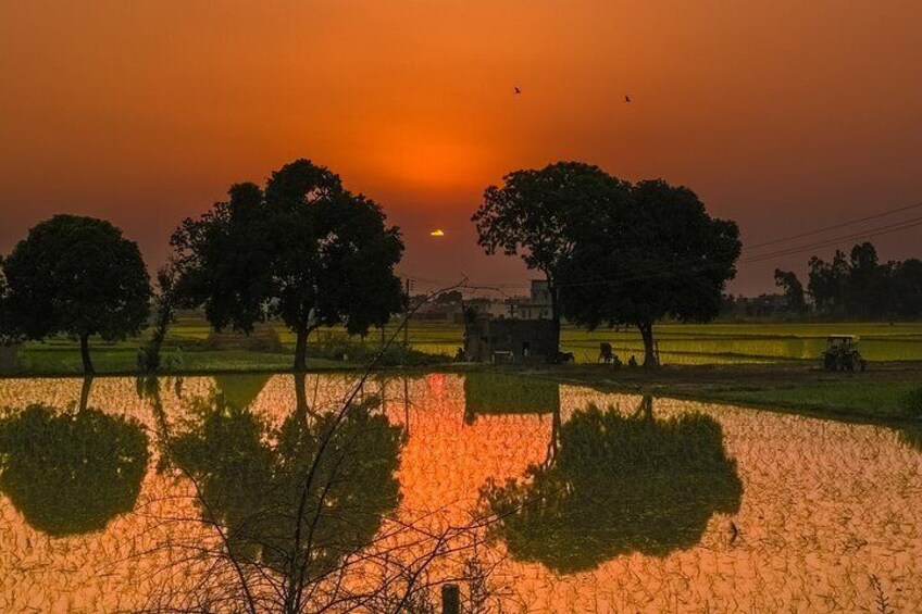Professional Photography Guided Tour