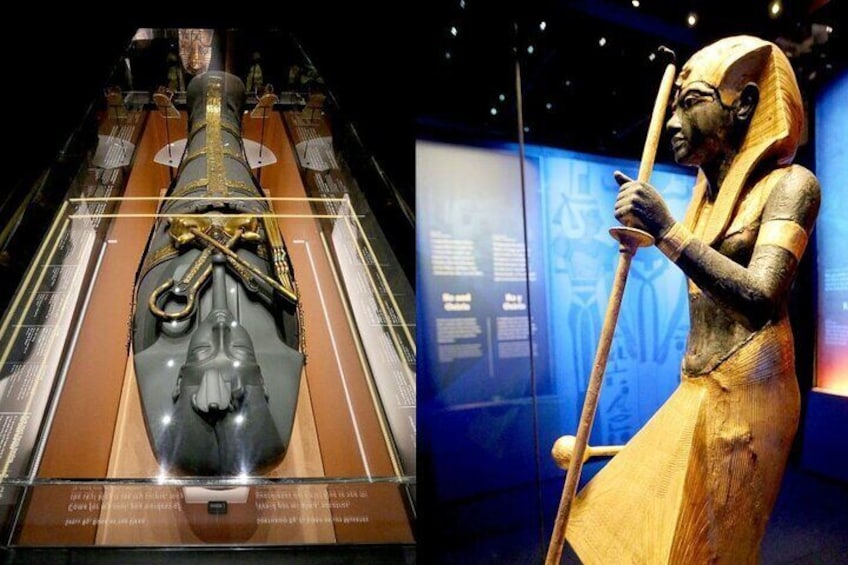 King tut exhibit coupon