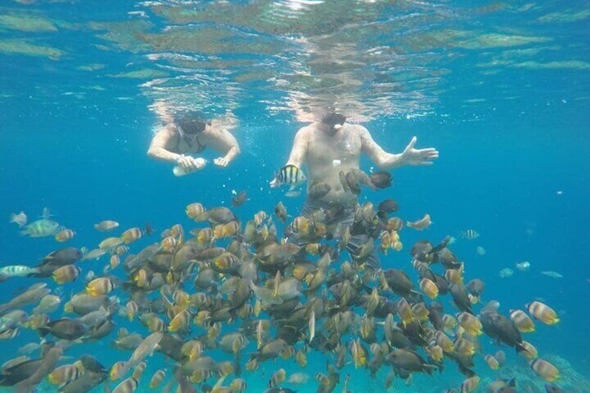 Private Snorkeling Tour In Pink Beach