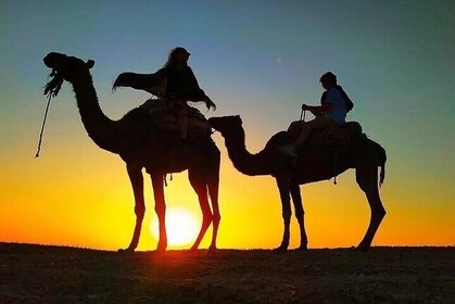 Berber Dinner In Marrakech Agafay Desert Sunset Camel Ride