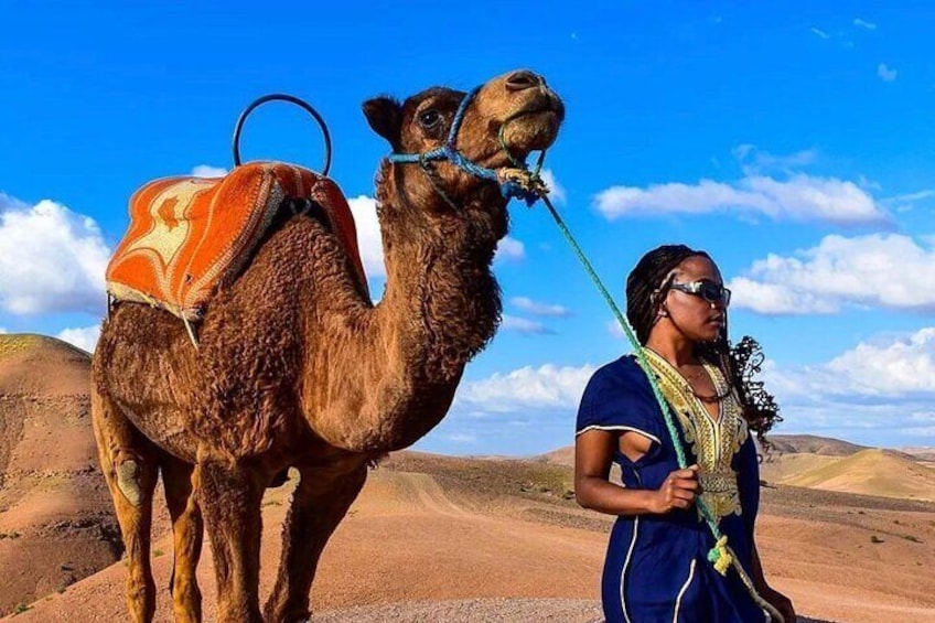 Atlas Mountain Zip Line And waterfalls berber villages with camel