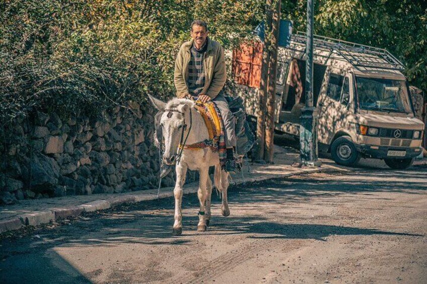 Atlas Mountain Zip Line And waterfalls berber villages with camel