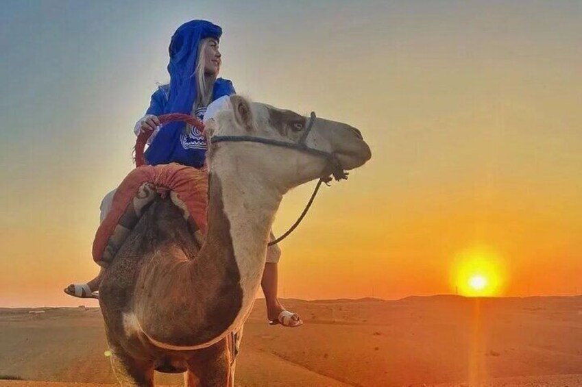 Quad Bike & Camel Ride & Dinner Show In Agafay Desert 