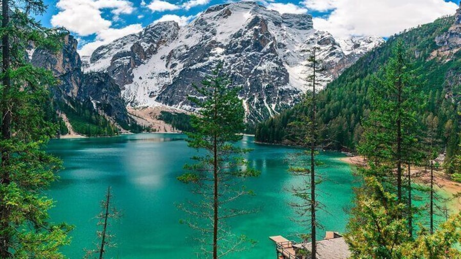 Private Dolomites Day Trip from Venice by Mercedes Class e Lux