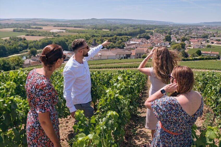 Reims: Small-Group Champagne Tour with Champagne Tastings and Lunch 