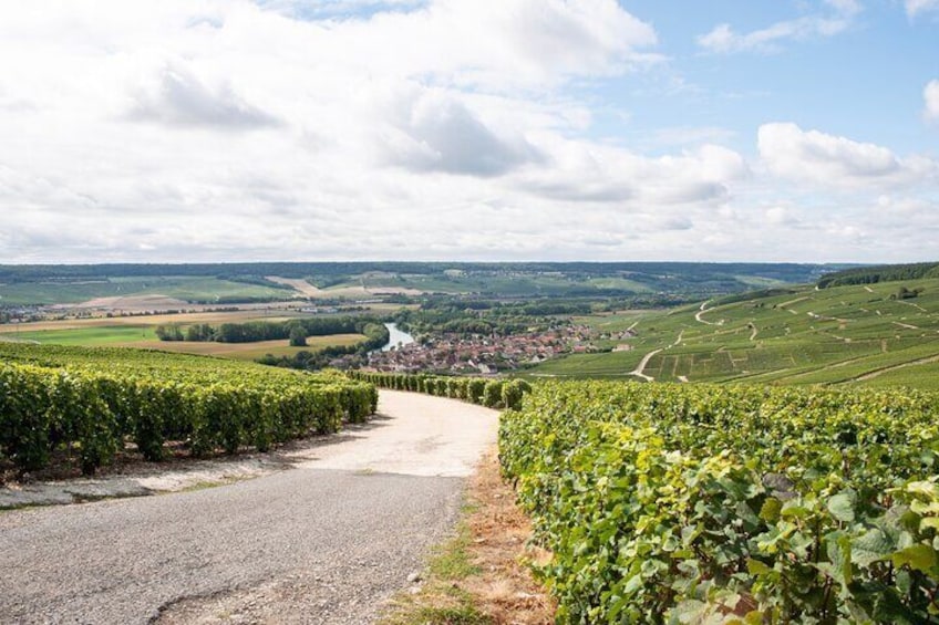 Small-Group afternoon Champagne Tour with Champagne Tastings from Reims