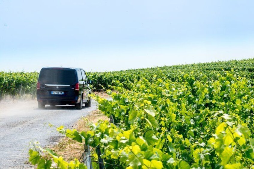 Small-Group afternoon Champagne Tour with Champagne Tastings from Reims