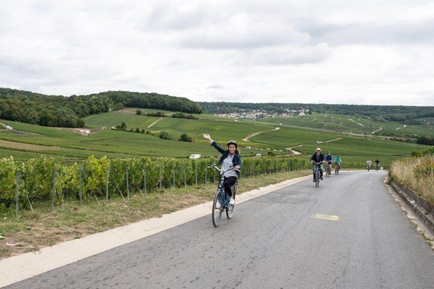 Reims: Champagne Day Trip with E-Bike including Family-run Winery and Lunch