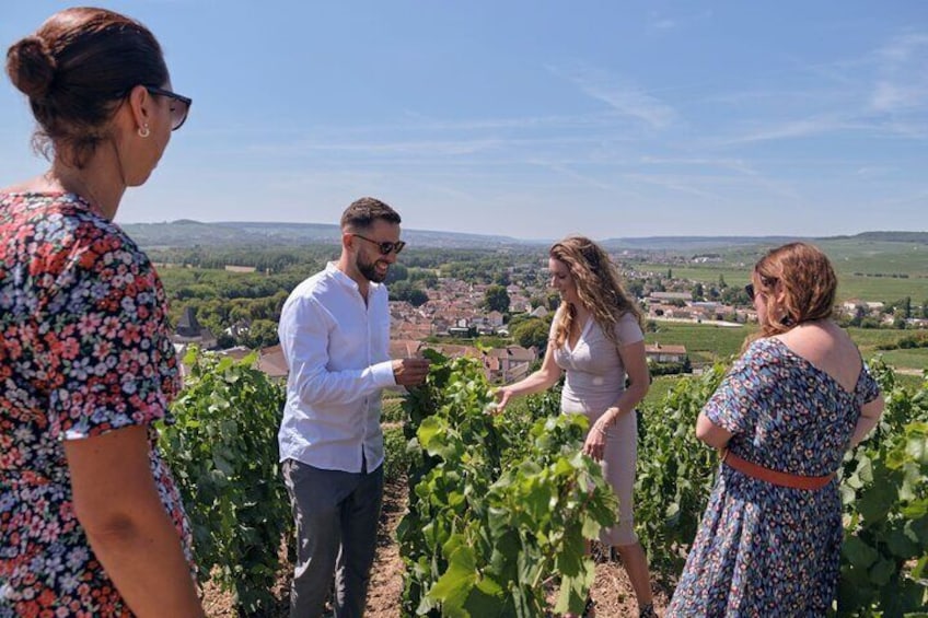 Private tour: Full Day Veuve Clicquot to Reims or Epernay region