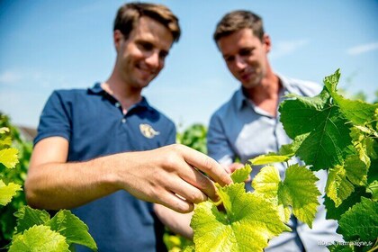 私人香槟之旅、家庭种植者和午餐