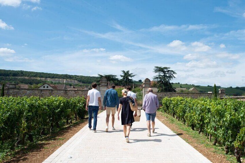 Full day from Beaune: the most of Burgundy, with lunch