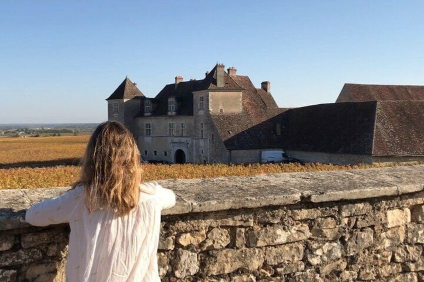 View of the Clos de Vougeot