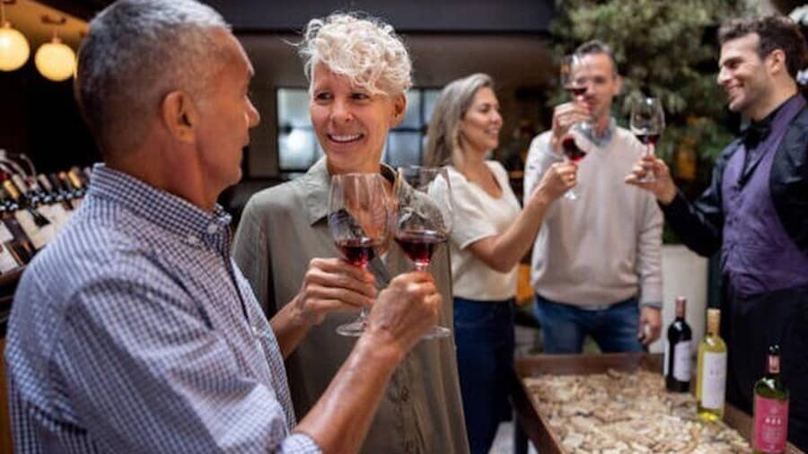 Dijon Wine Tour - Wine tasting included - Professional guide !
