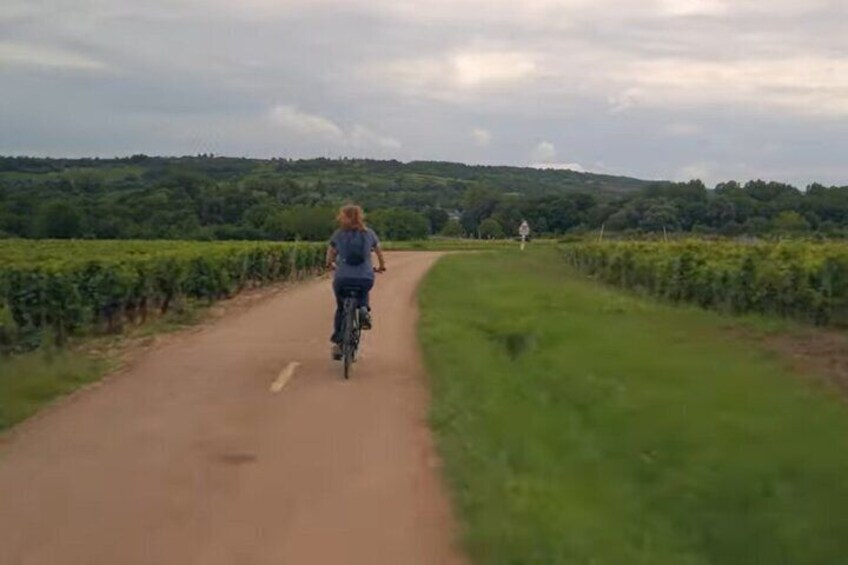 E-bike tour in Burgundy