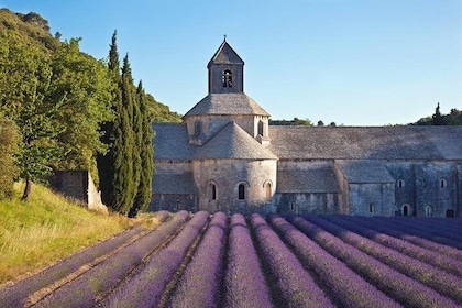 Provence Tour