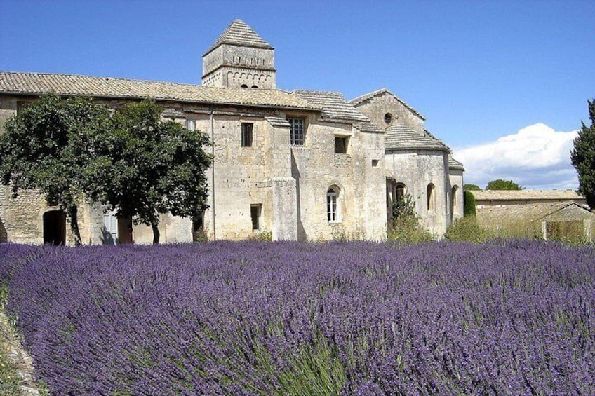 Saint Rémy de Provence & Les Baux de Provence Tour