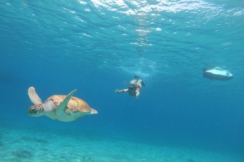 Curaçao Seabob Tour