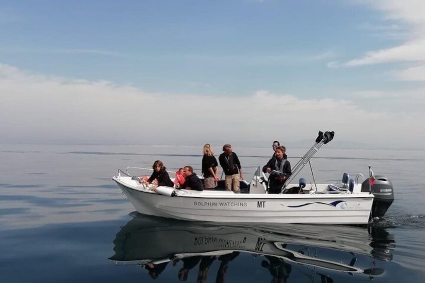 Small Group - Dolphin and Wildlife Watching in Faro