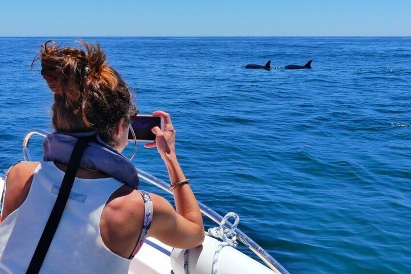 Dolphin & Wildlife Watching Tour