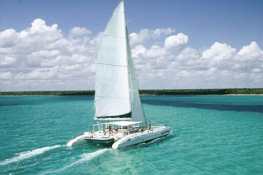 Saona Island Excursion by Catamaran and Speedboat